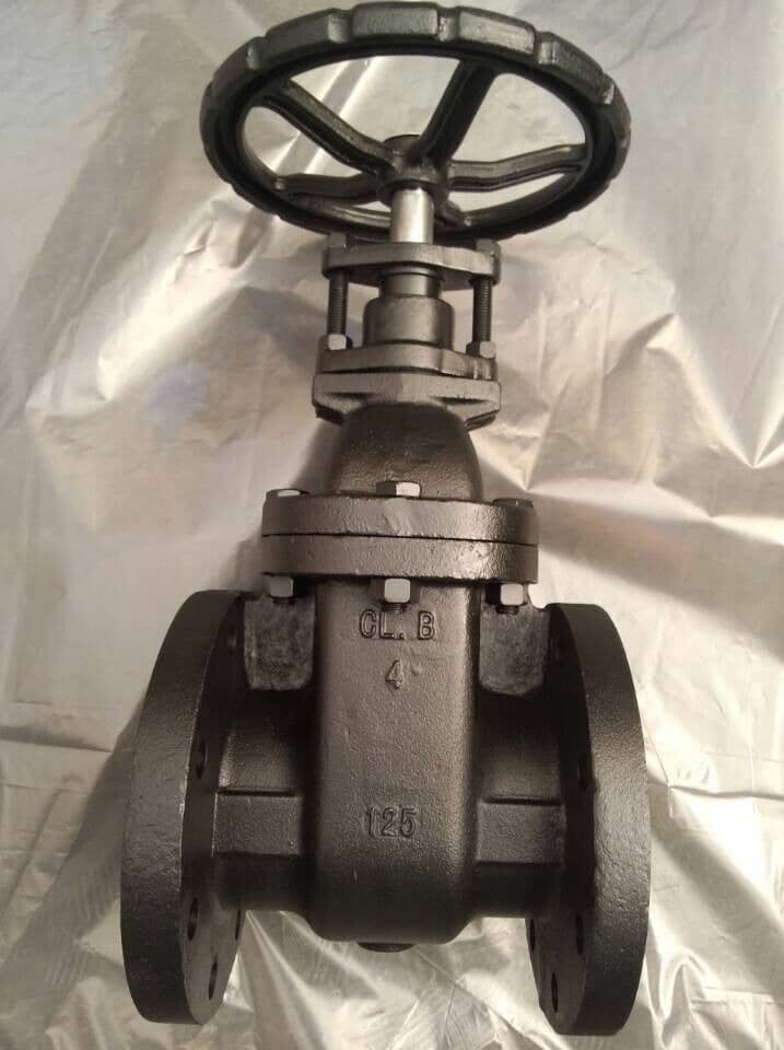 Gate valve assembly
